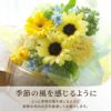 ペットちゃんの虹の橋 定期便 もふもふコース 3ヶ月 Mサイズ お供え 生花