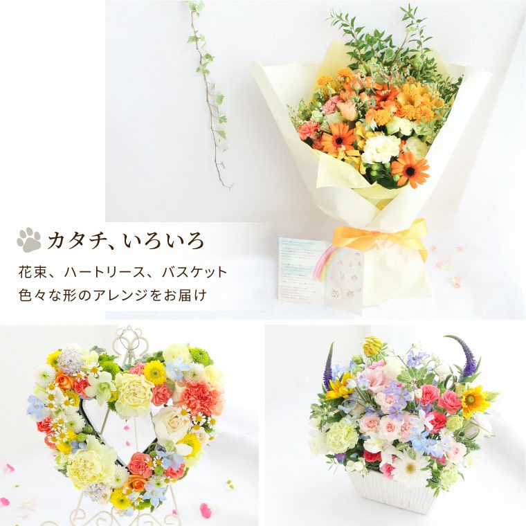 ペットちゃんの虹の橋 定期便 ふかふかコース 3ヶ月 Lサイズ お供え 生花