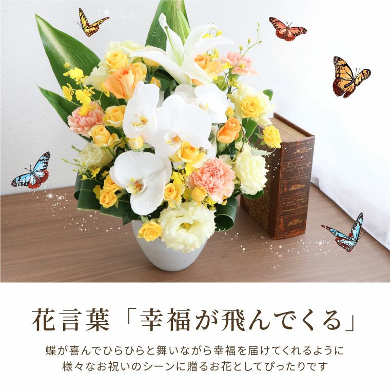 胡蝶蘭のセレブレートアレンジメント』 生花｜横浜花まりか フラワー