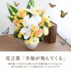 胡蝶蘭のセレブレートアレンジメント 生花