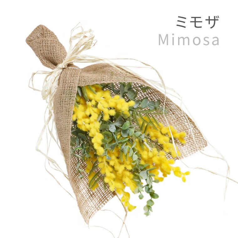 ミモザ アートスワッグ・40cm 造花