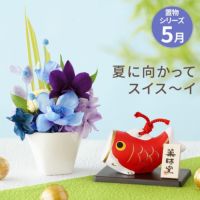 手のひらサイズで楽しむ・5月こどもの日 プリザーブドフラワー