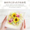 ペットちゃんの虹の橋ひまわりボックス・ハピネス お供え プリザーブドフラワー 造花