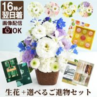 お供え花アレンジとご進物セット