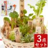 春の七草籠＆食べれる七草＆新米コシヒカリ・3点セット