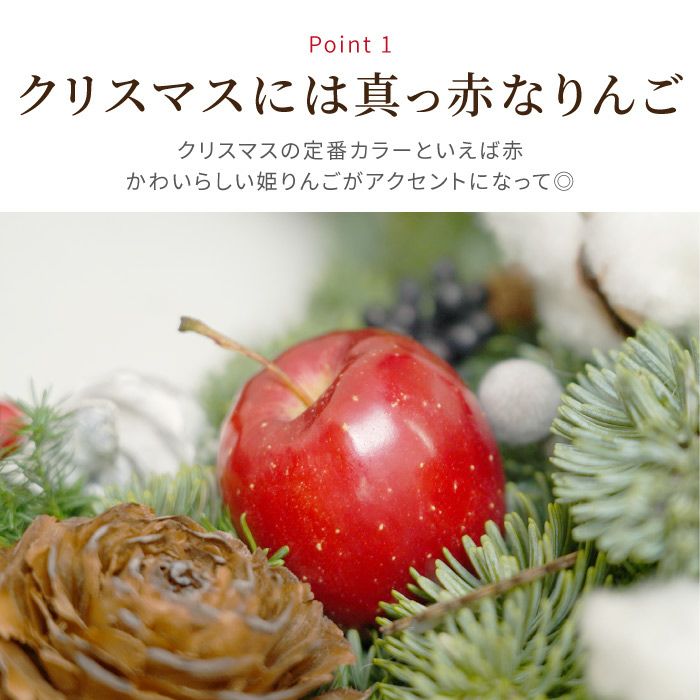 姫りんごのフォレストクリスマスリース XLサイズ・生 55cm