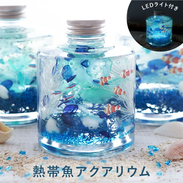 2980→2800円 3本set❤️熱帯魚 *ハーバリウム 軽い