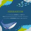 熱帯魚アクアリウム・ ハーバリウム