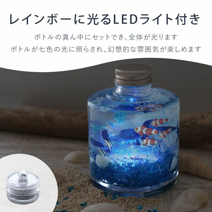 熱帯魚アクアリウム』 ハーバリウム | 横浜花まりか フラワーギフト店