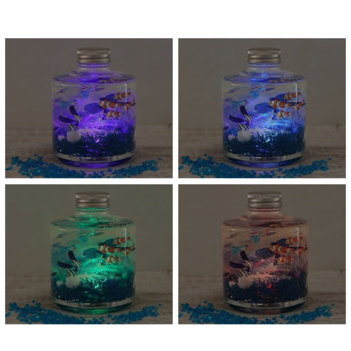 熱帯魚アクアリウム・ ハーバリウム