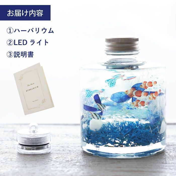 熱帯魚アクアリウム・ ハーバリウム