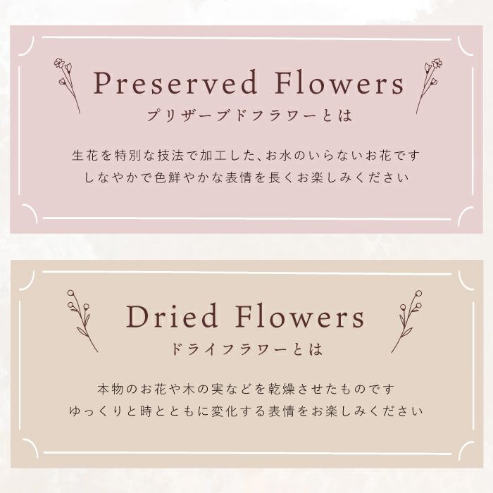 フラワーボックスフレーム ドライフラワー