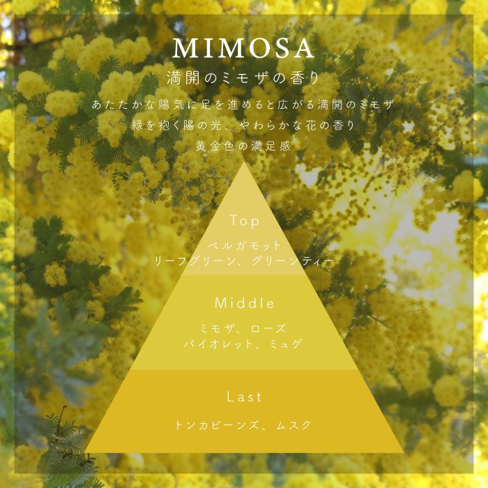 ネイルオイル MIMOSA/ミモザ コスメ・美容ギフト