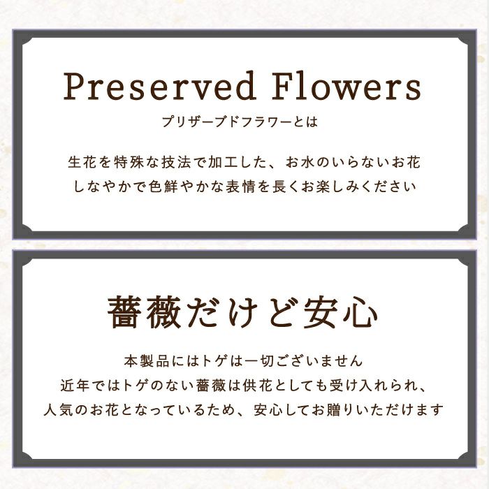 お供え花ドームとスタバのギフトセット プリザーブドフラワー