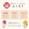 名入れ　ぽってりふくろうプリザ