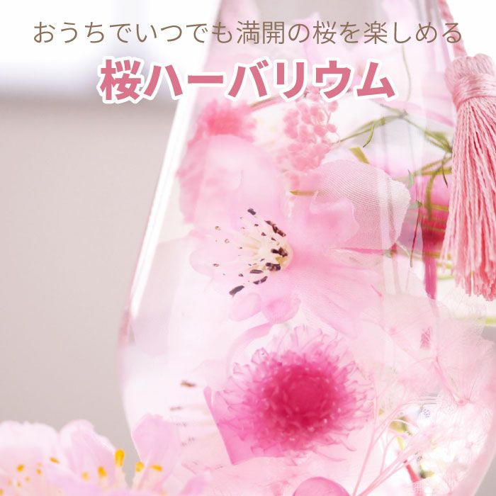 桜ハーバリウム&名入れふくろう湯呑セット 雑貨