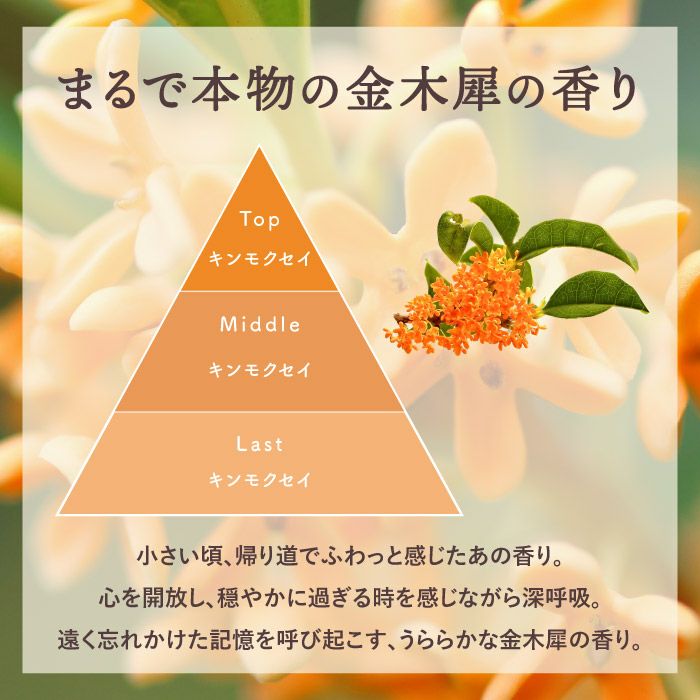 金木犀のハンドクリーム＆バスタブレット ギフトセット